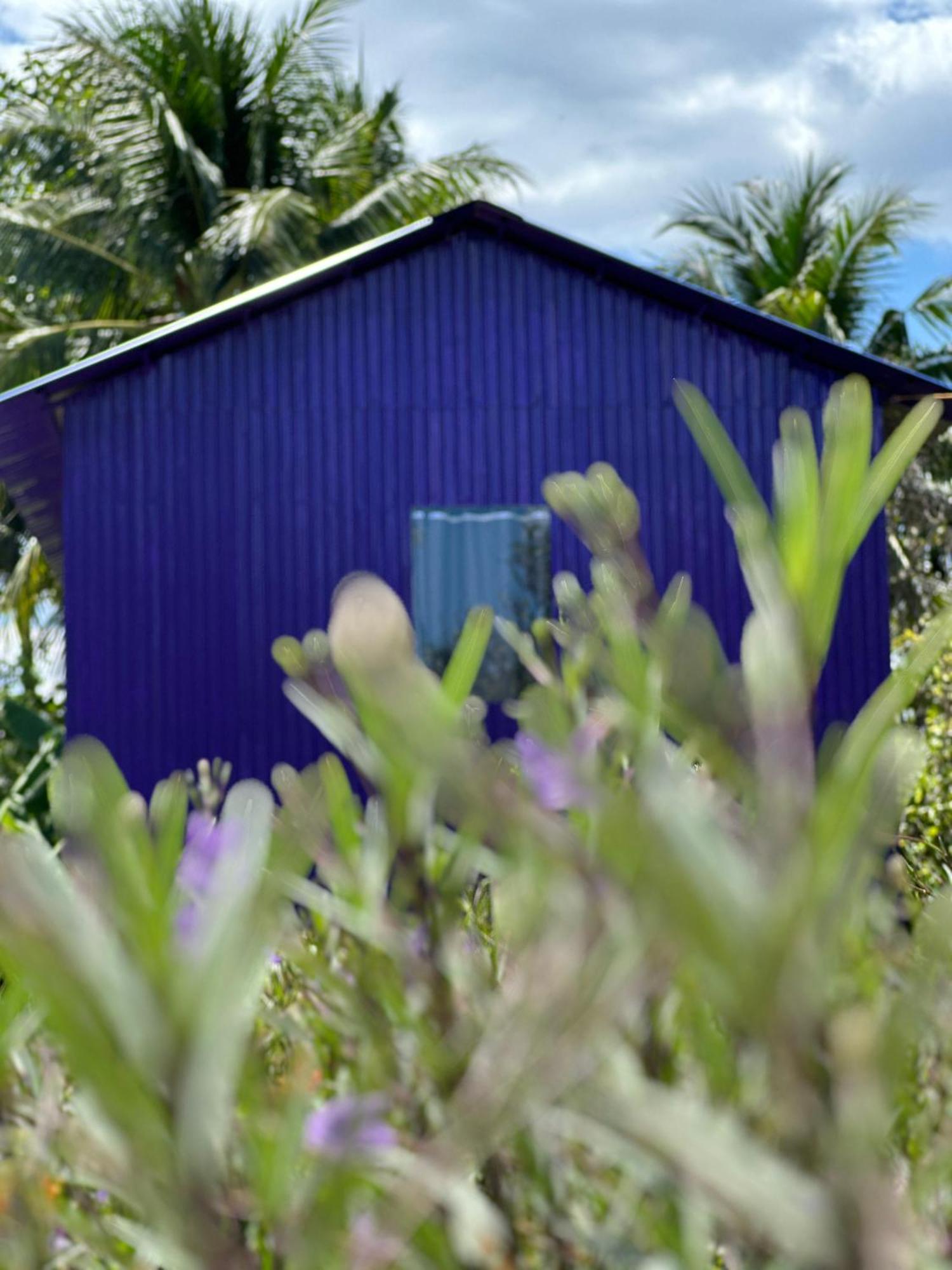 Hide Away Bungalows In Ben Tre City Eksteriør bilde
