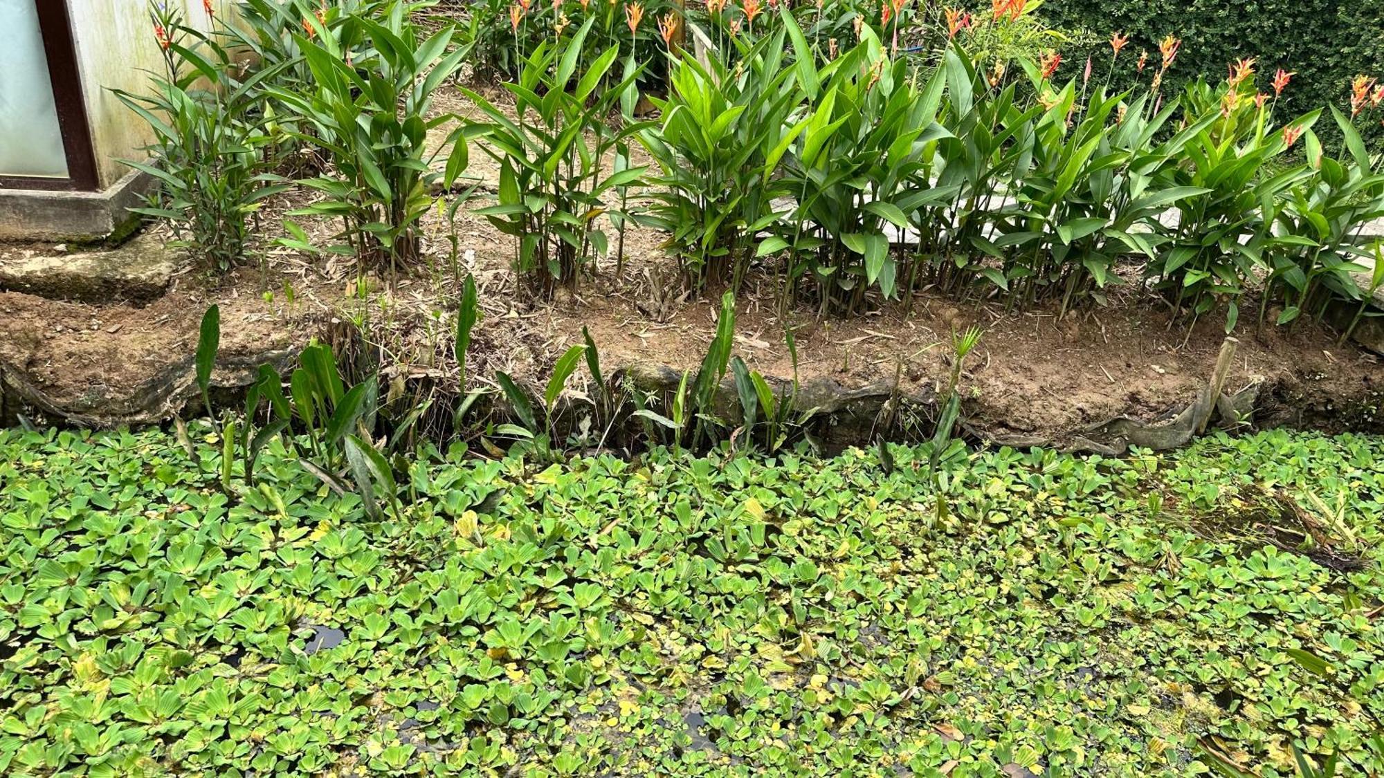 Hide Away Bungalows In Ben Tre City Eksteriør bilde